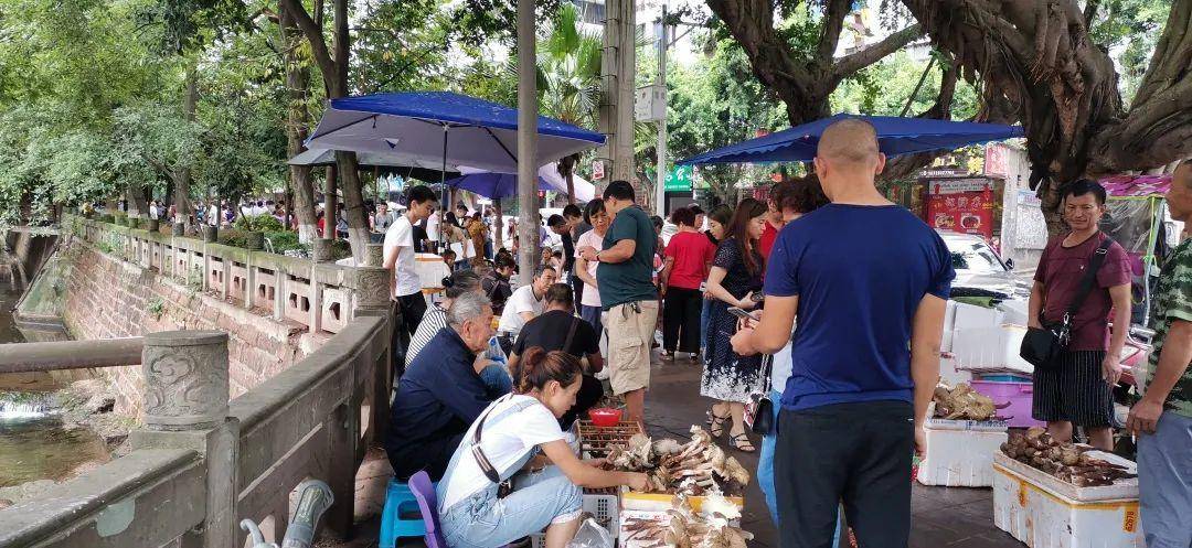 “天价”鸡枞调查：最贵卖到1800元/公斤！雨水少致产量低<strong></p>
<p>y币怎么刷</strong>，多地价高客少