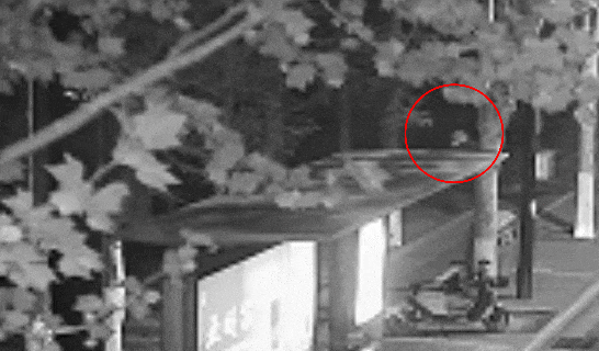 江苏一男子戴仿真“人皮”面具入室盗窃<strong></p>
<p>y币怎么刷</strong>，流窜多个小区作案，涉案金额达15万余元