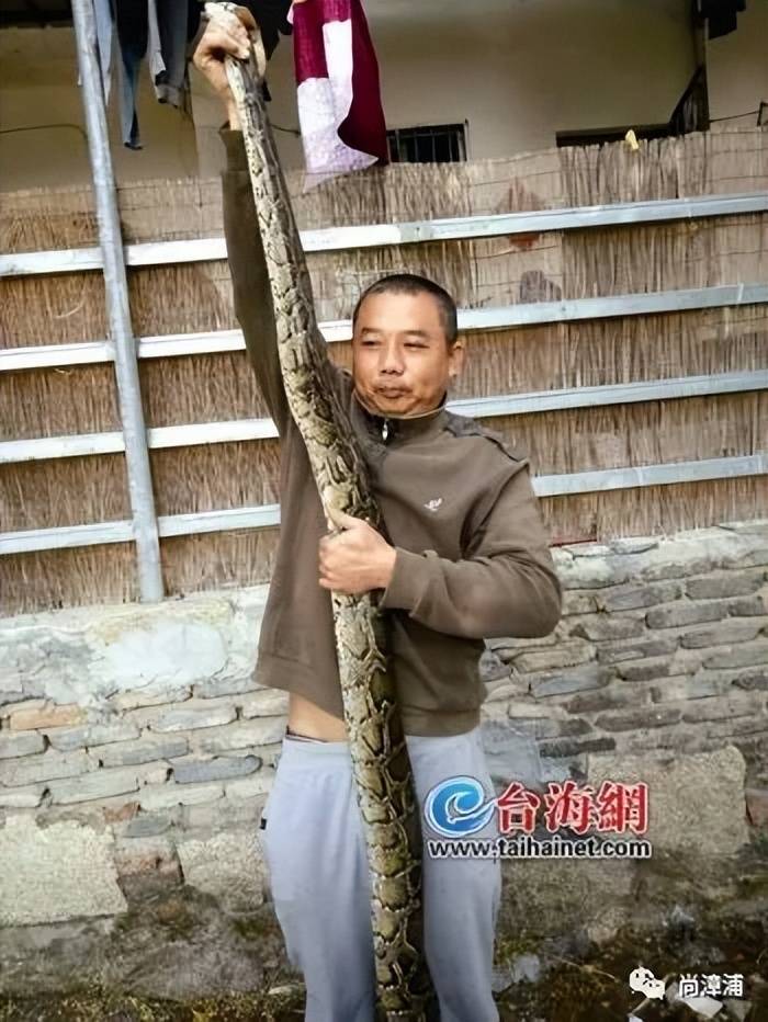 女游客疑被蛇咬伤身亡后<strong></p>
<p>币响bx怎么换钱</strong>，博主“啊宝”讲毒蛇1天涨粉190万
