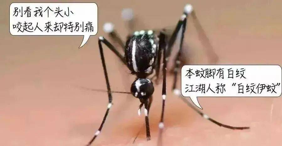 风险增大<strong></p>
<p>虚拟货币实时行情</strong>！深圳疾控：去这247处要小心！张文宏首次发声