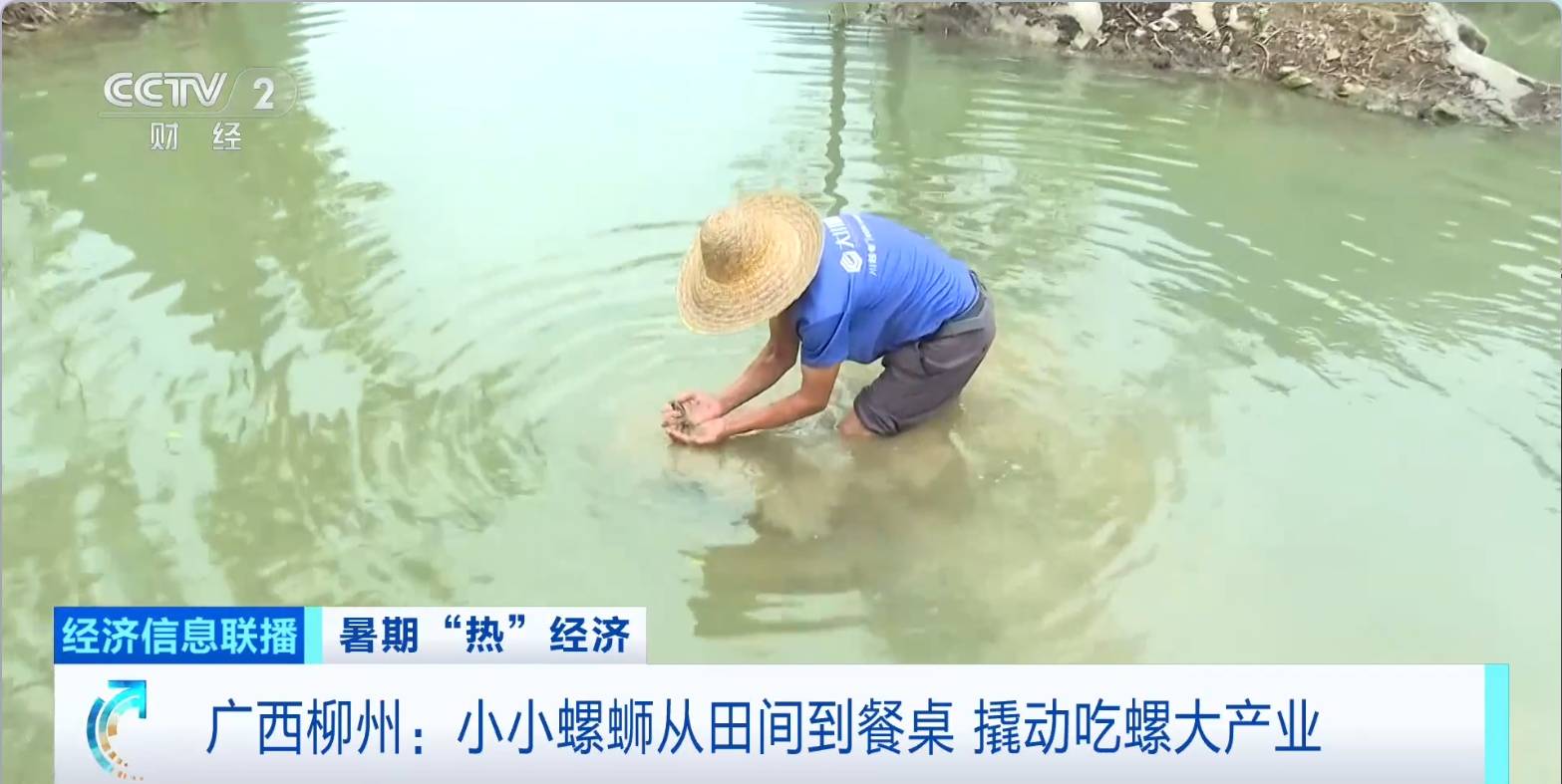 小小螺蛳从田间到餐桌<strong></p>
<p>以太坊美元</strong>，撬动广西柳州吃螺大产业