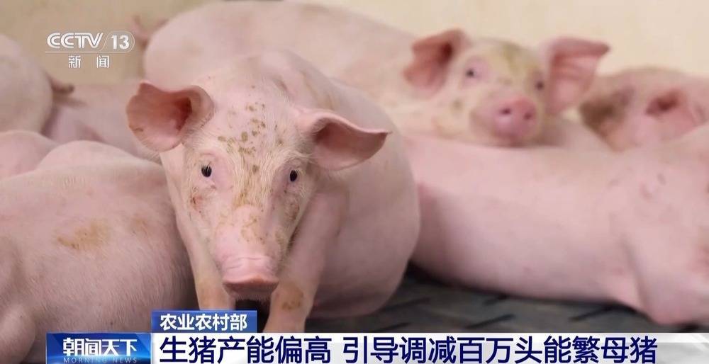 “二师兄”的身价要稳住 猪企开始给猪“减肥”<strong></p>
<p>以太坊区块链浏览器</strong>了→