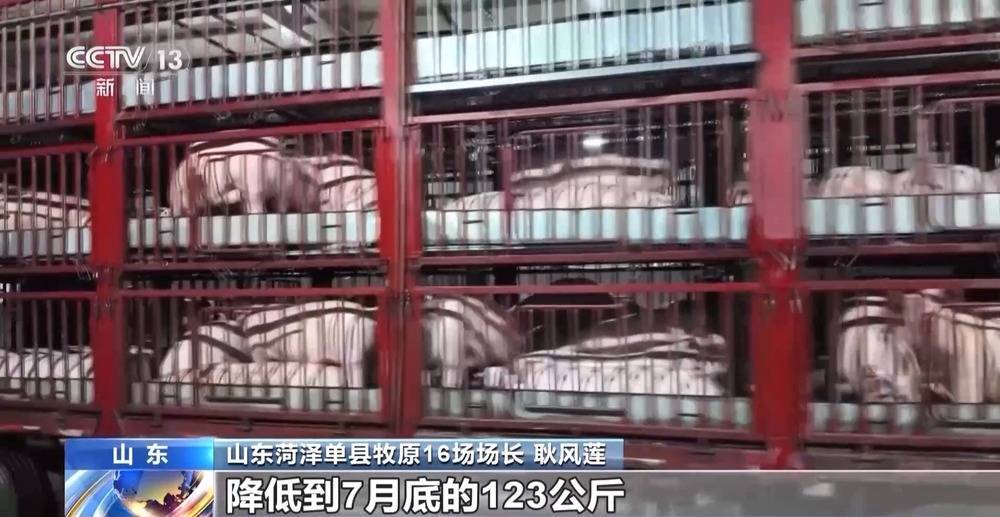 “二师兄”的身价要稳住 猪企开始给猪“减肥”<strong></p>
<p>以太坊区块链浏览器</strong>了→