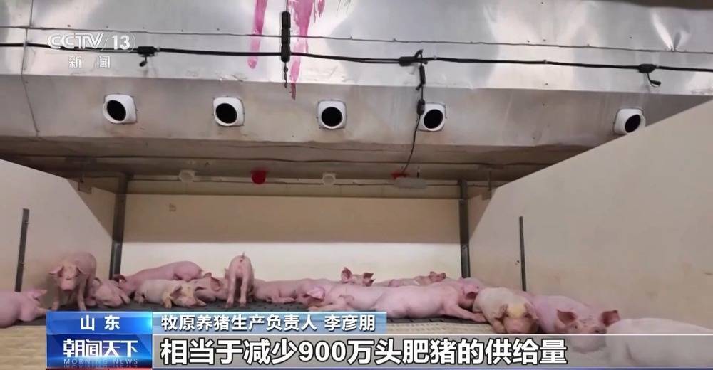 “二师兄”的身价要稳住 猪企开始给猪“减肥”<strong></p>
<p>以太坊区块链浏览器</strong>了→