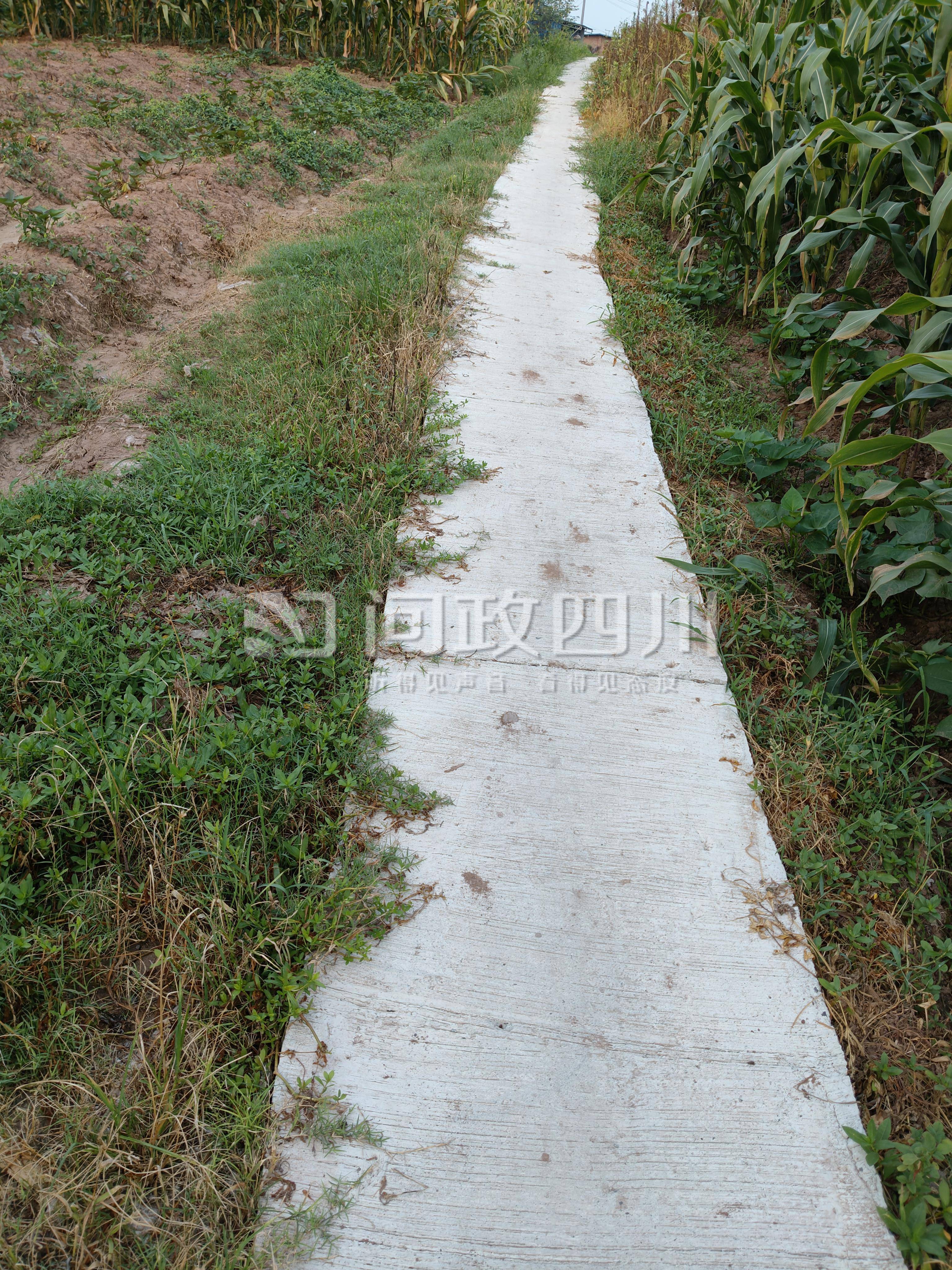 四川内江一村1.5米宽土路只硬化了0.8米<strong></p>
<p>以太坊今日价格行情</strong>？镇政府：原土路非全部都宽1.5米