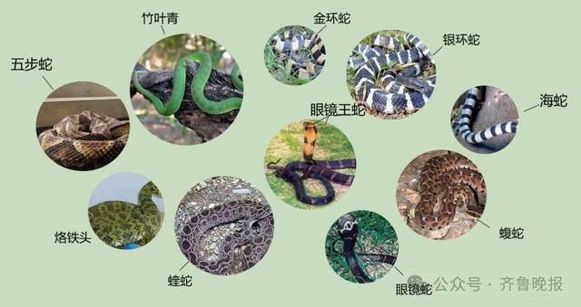 安徽宣城一男子走路玩手机<strong></p>
<p>以太坊最新行情</strong>，一脚踩中打架的竹叶青和五步蛇，被俩毒蛇咬3口！医院：暂无生命危险，正在治疗