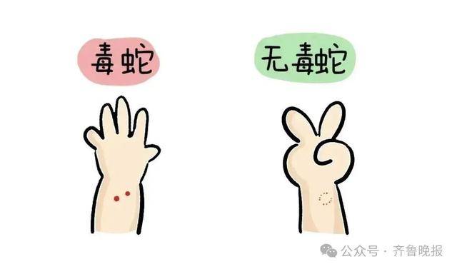 安徽宣城一男子走路玩手机<strong></p>
<p>以太坊最新行情</strong>，一脚踩中打架的竹叶青和五步蛇，被俩毒蛇咬3口！医院：暂无生命危险，正在治疗