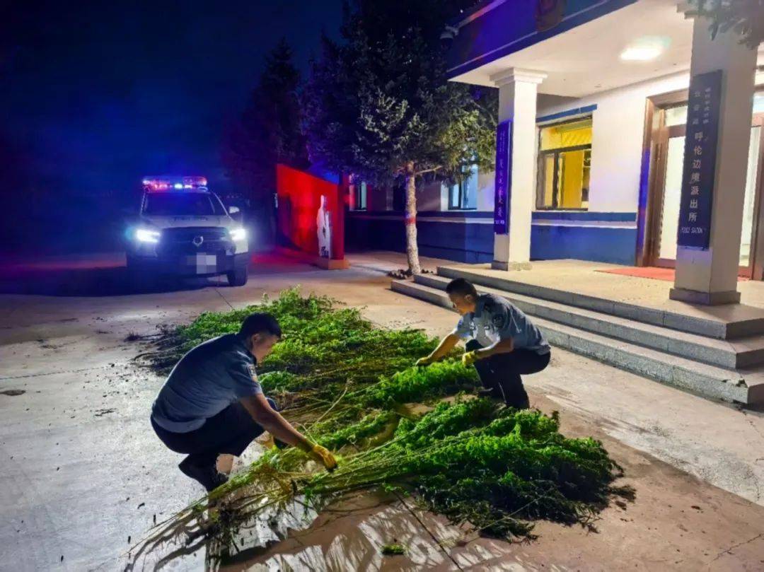 中国留学生因用手机拍照翻译遭拘押<strong></p>
<p>以太坊币今日价格</strong>，中使馆紧急提醒！【新闻早知道】